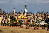 A view of the massive cluster of pagodas that make up the forest like Kakku pagoda complex. Shan State, Burma (Myanmar). 
